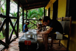 Making specimens with José Luis Herrera and Liam Revell - Barahona, Dominican Republic (photo by Bryan Falk)